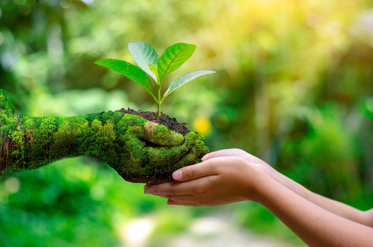 Leia mais sobre o artigo MPRN renova adesão à Agenda Ambiental na Administração Pública