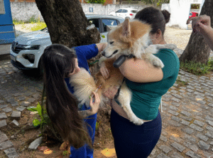 Leia mais sobre o artigo NATAL: Mais de 5 mil animais são imunizados no Dia D da Campanha Antirrábica
