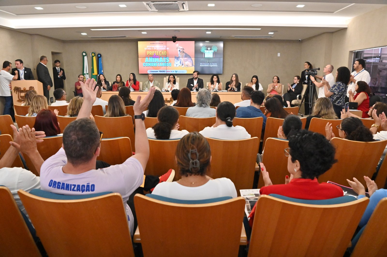 No momento, você está visualizando ALRN: Lei Lucy: audiência debate proteção de animais comunitários e projeto para RN